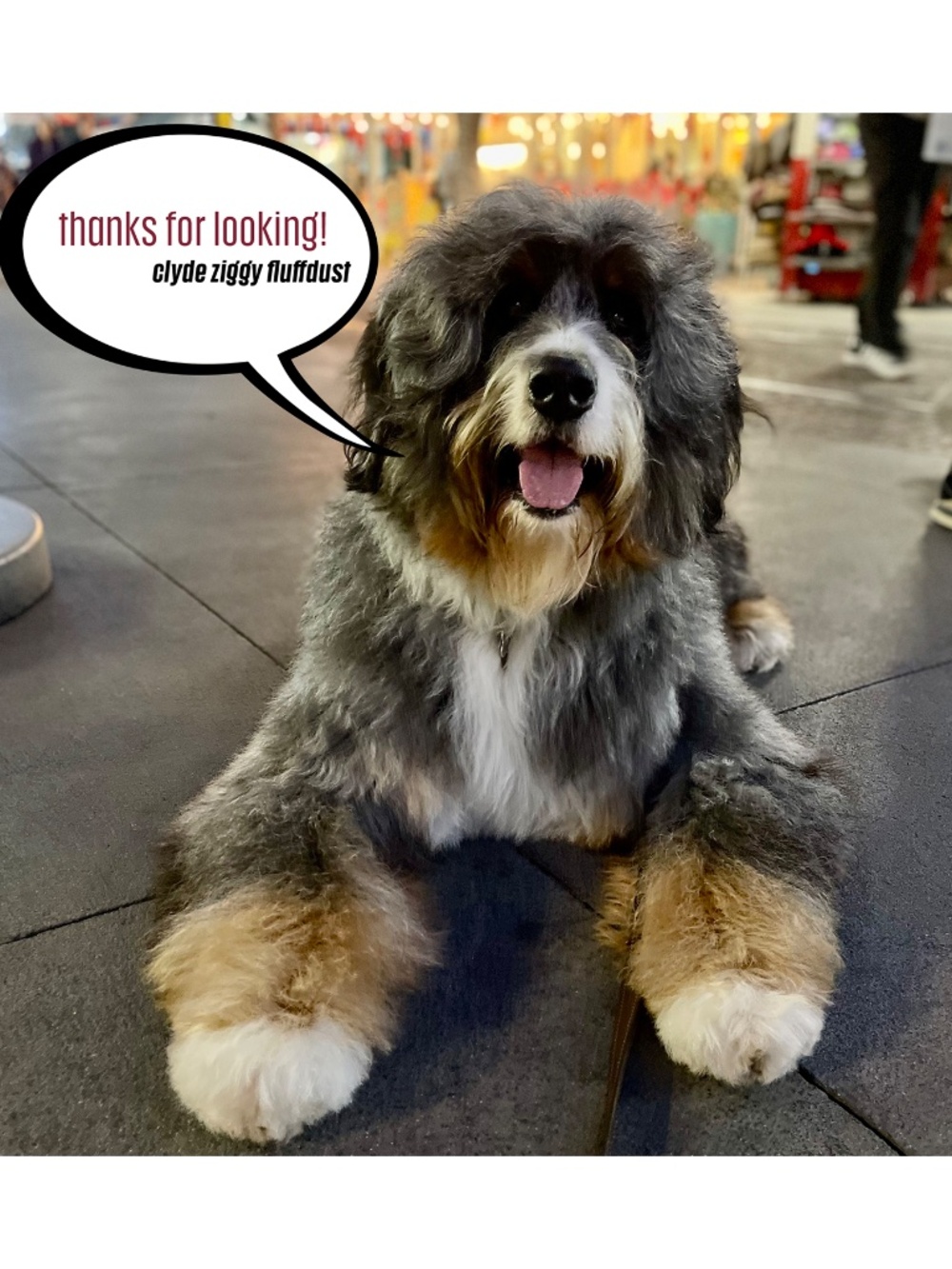 Nike Indy Crop Top Medium Support Padded Sports Bra - Picture 10 of 10